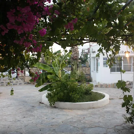 Granma Bodrum