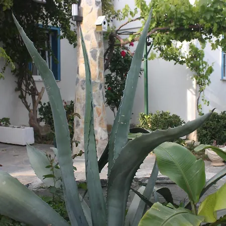 Granma Apart-hotel 3*