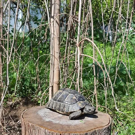 아파트호텔 Granma Butik&apart