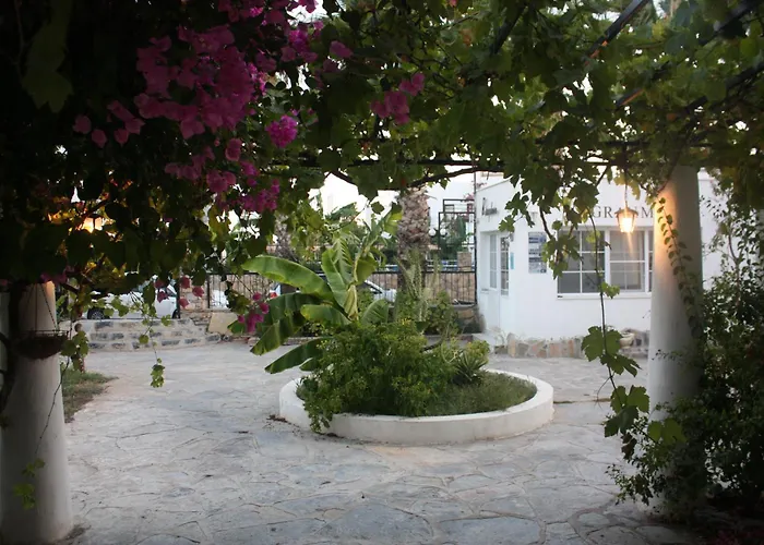 Granma Bodrum